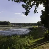 Spokojny zalew zielona woda, porośnięta liliami wodnymi, otoczona lasem. Ścieżka wzdłuż brzegu zaprasza do spaceru.