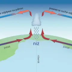 Schemat cyrkulacji powietrza wyjaśnia, jak powstaje wiatr: ciepłe powietrze unosi się nad równikiem, tworząc niż, a następnie ochładza się i opada, tworząc wyż.