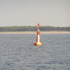 Czerwono-biała boja nawigacyjna, znak bezpiecznej wody, na spokojnym morzu. W tle linia lasu i plaży.