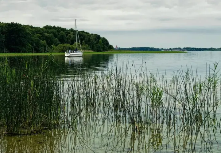 Żaglówka na spokojnym jeziorze, otoczona zielenią. Idealne miejsce na tygodniowy rejs po Mazurach.