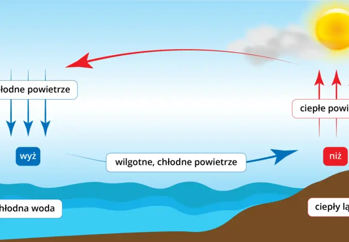 Ilustracja przedstawia cykl bryzy nocnej i dziennej: chłodne powietrze znad wody (wyż) i ciepłe powietrze znad lądu (niż).