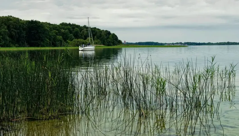 Żaglówka na spokojnym jeziorze, otoczona zielenią. Idealne miejsce na tygodniowy rejs po Mazurach.