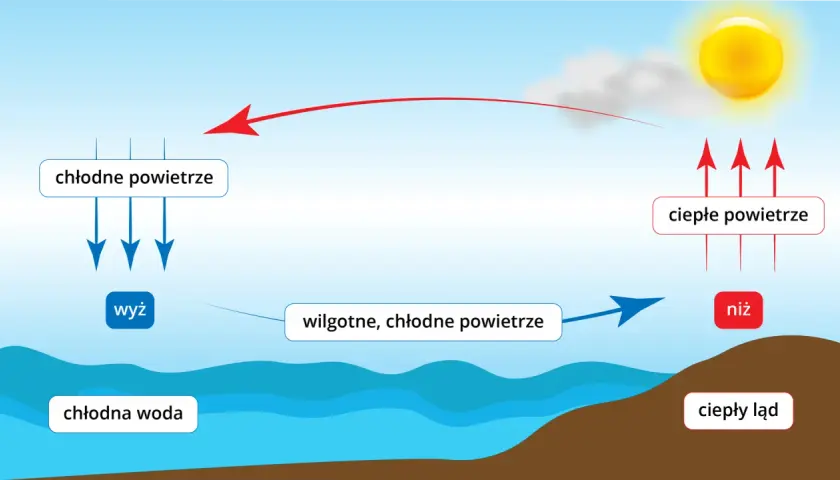 Ilustracja przedstawia cykl bryzy nocnej i dziennej: chłodne powietrze znad wody (wyż) i ciepłe powietrze znad lądu (niż).