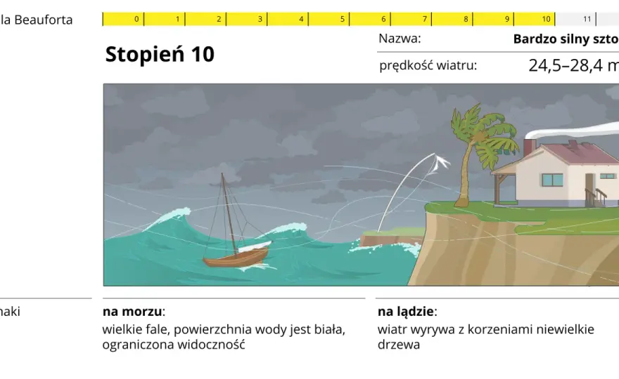 Wiatr wschodni - skąd wieje i co oznacza? Poradnik