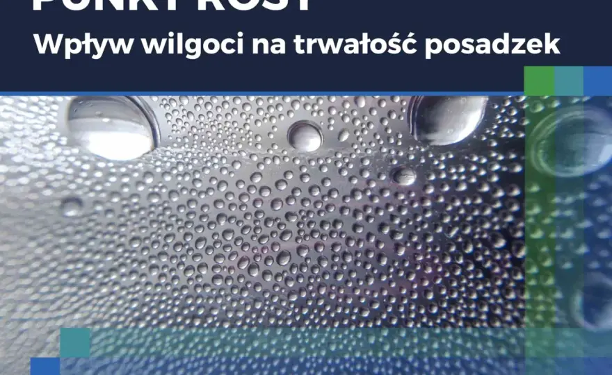 Jak czytać higrometr? Zakresy wilgotności i punkt rosy