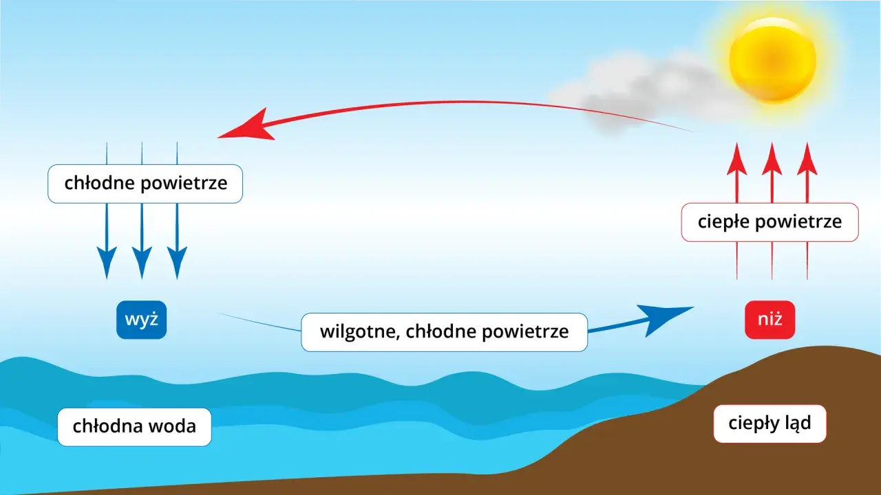 Ilustracja przedstawia cykl bryzy nocnej i dziennej: chłodne powietrze znad wody (wyż) i ciepłe powietrze znad lądu (niż).